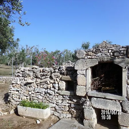 Σπίτι διακοπών Olive Trees House *