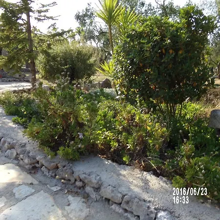 Olive Trees House Torre dell'Orso