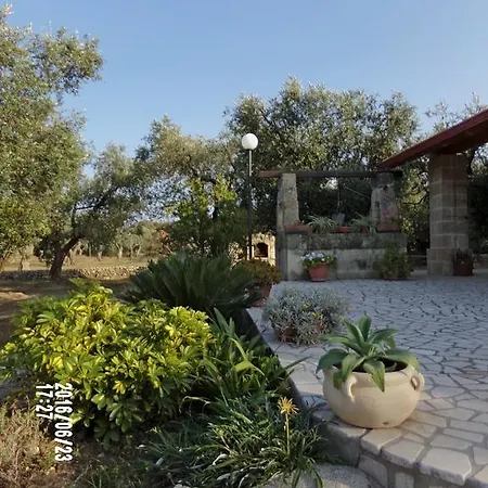 Olive Trees House